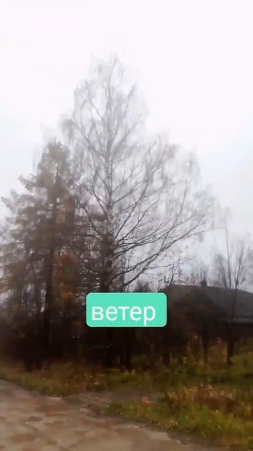 Доброе утро 👋 У кого какая погода??? А у нас такая... смотреть онлайн