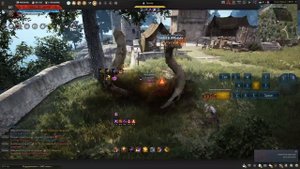 Бдо Хасашин "Пробуждение 3.0". Гайд 2024 =) " Пве и масс пвп"