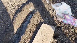 Сажаем Озимый Чеснок🧄Подготовка почвы под посадку...