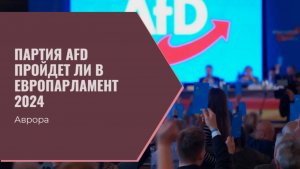 Партия AFD пройдет ли в Европарламент 2024