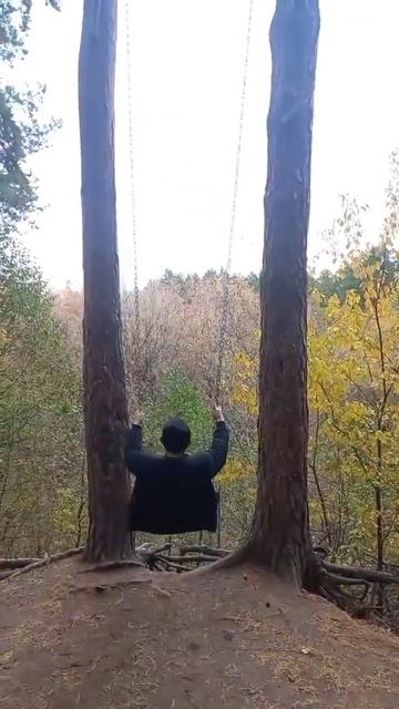 качели над обрывом смотреть онлайн