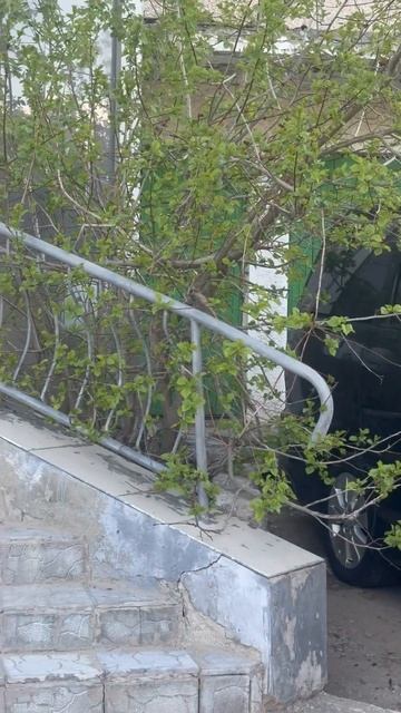 Новый год летом 🎄🎅у нас такое бывает #нг #лето #магаз? смотреть онлайн