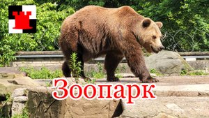 Калининградский зоопарк: Лея, Тигран, Фима и другие...