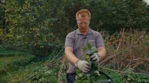 Тест электрического измельчителя Greenworks GW-2800SD (арт. 2208007)