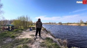 Рыбалка в Назии. Новоладожский канал. Поплавок 2025