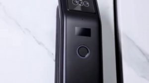 C подключением к Алисе Dircode U800 электронный замок с расп