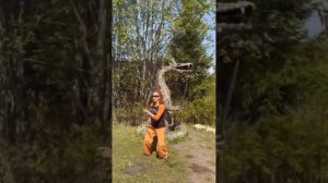 всем принцессам по дракону!