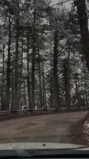 #горы #дорога #серпантин #лес #лесакрыма #вершины #зима # смотреть онлайн