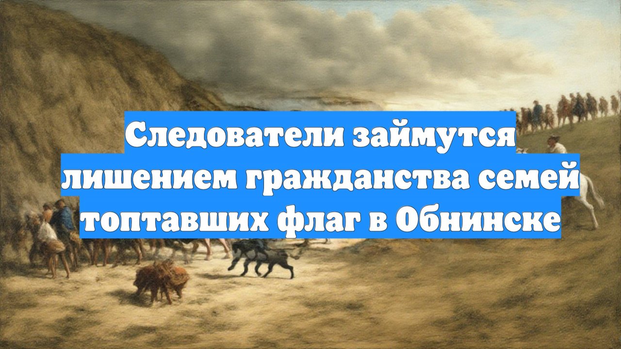 Следователи займутся лишением гражданства семей топтавших флаг в Обнинске