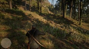 Смородина золотистая (golden currant) Red Dead Redemption 2