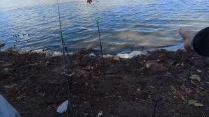 Рыбалка на реке Кочеты 🎣 Проверяем клев на фидер осен