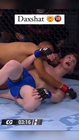 Лучшие нокауты Подпишись и ставь лайк #ufc #mma #youtube #sports #tiktok #shortsvideo #russia #box