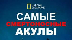 Самые смертоносные акулы | World's Most Dangerous Shark? | NAT Geo