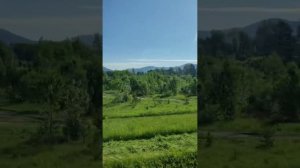 В Сибирь.В Горно-Алтайск.