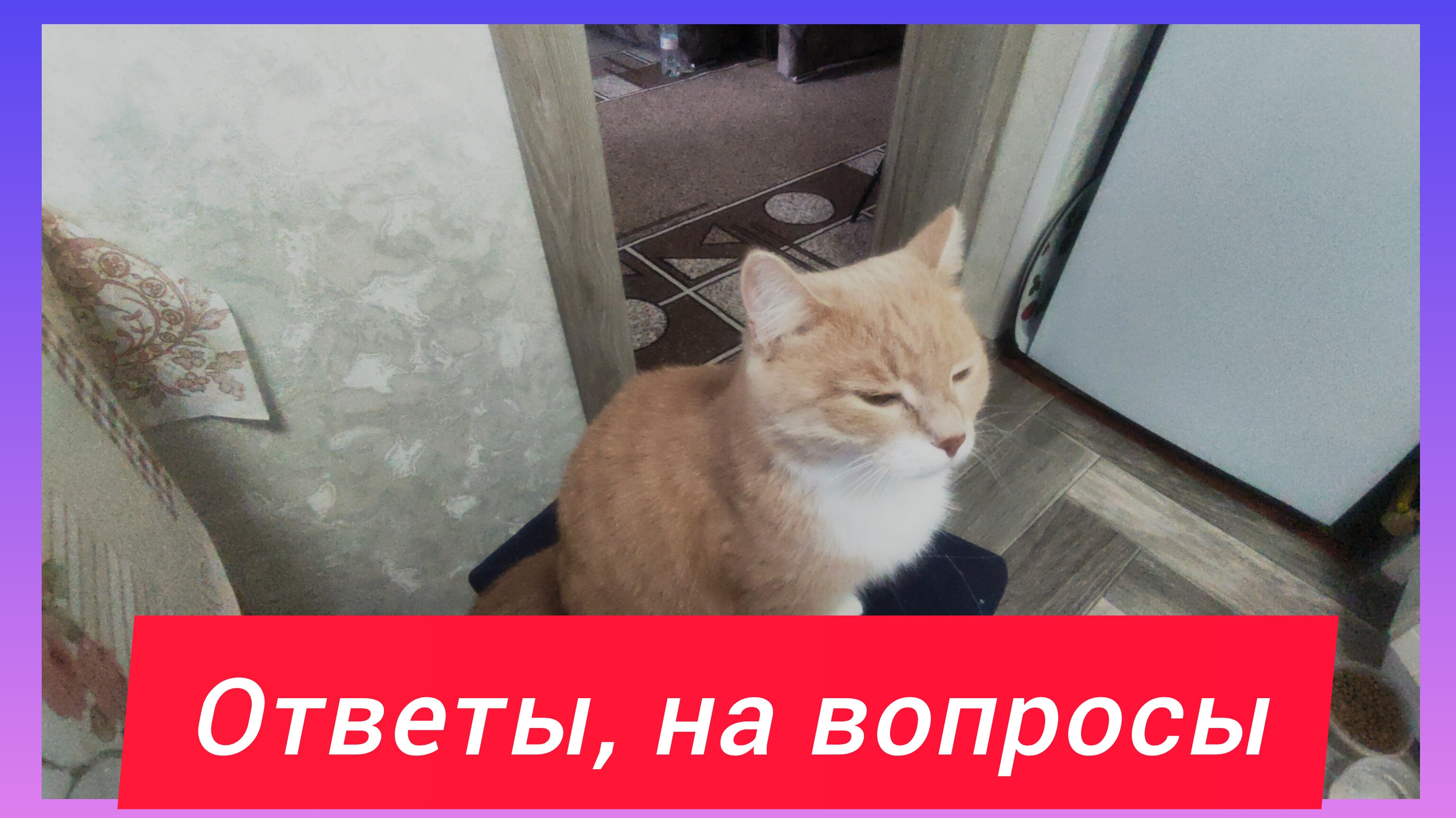 КОГДА ЗАХОЧУ , У НАС ВСЁ БУДЕТ!!!ОТВЕЧАЮ НА ВАШИ ВОПРОСЫ И КОММЕНТАРИИ