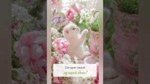 Утро Доброе Желаю!