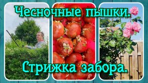 VLOG из 🇩🇪: Чесночные пышки к борщу. И стрижка забора.