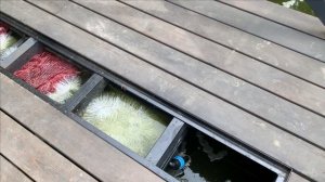 Запустили самодельный биофильтр для пруда