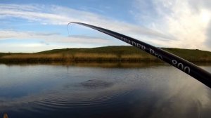 8 мая 2025. Трофейные караси на безмотылку. Боковой кивок