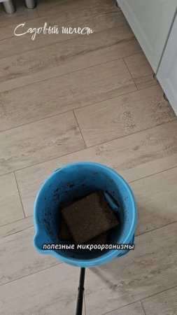 🌿3 способа обеззараживания грунта
