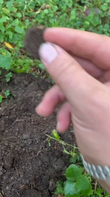 Такую находку каждый желает найти !! #2023 #лес #коп #метал смотреть онлайн