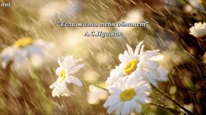 Стихи. "Если жизнь тебя обманет" Александр Сергеевич Пушкин.