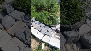 Садовая дорожка из строительного мусора! Получиться л