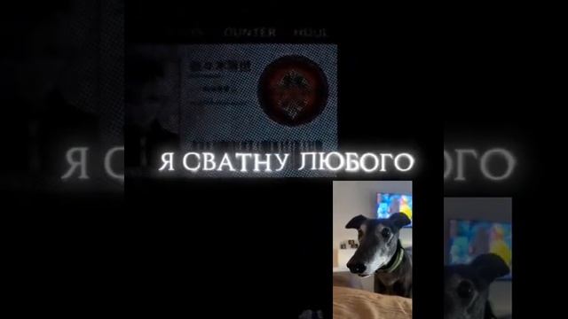 Видео на котором точно должно набраться 700 подписчико? смотреть онлайн