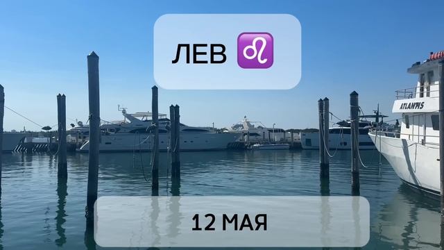 ЛЕВ МАЙ 2025 ♌️ ГОРОСКОП НА МАЙ ЛЕВ ♌️ Новые  цели, пере смотреть онлайн