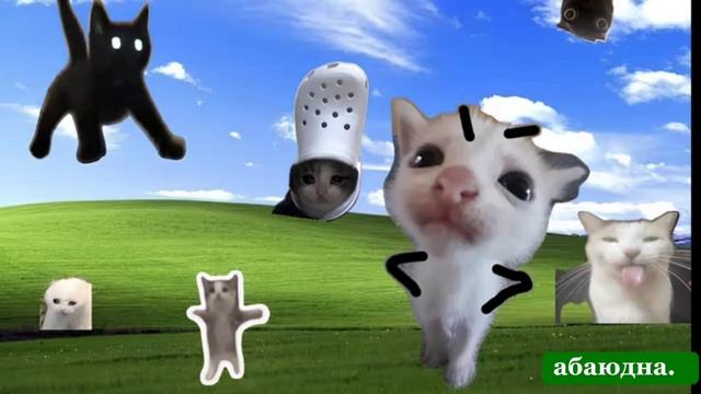 Плейлист ВЕСЁЛЫЕ КОТИКИ 😻Легкий и быстрый темп|Милый|Волшебный|«Кошки правят миром~~(=^..^)/