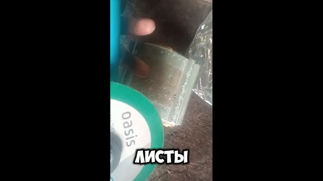БОЛГАРКА OASIS🔥Полный обзор #ПОДПИЩИКАМ#обзорпокупок #?