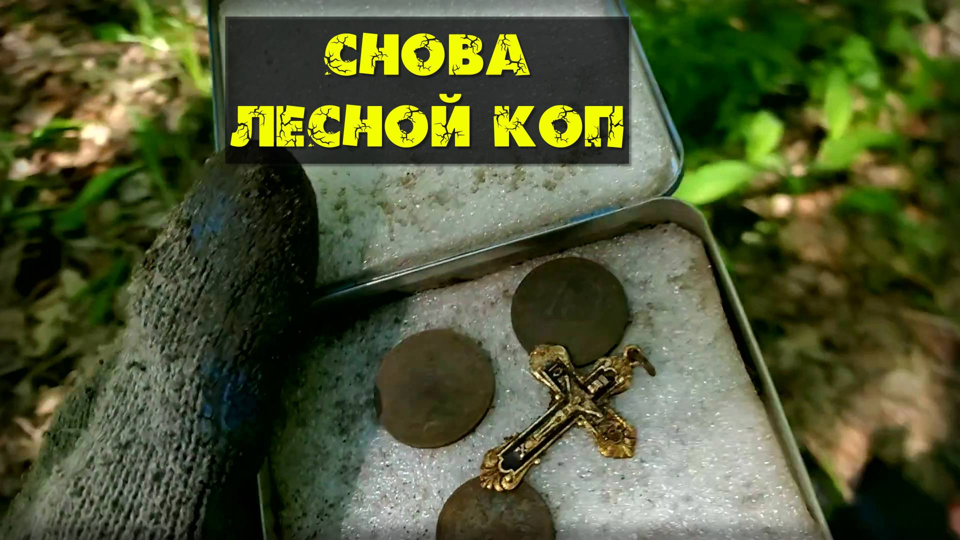 Снова копаю в лесу.