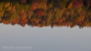 [4K] Calm Autumn from NE USA 1 HR Ambient Nature Film + Soothing  Piano Music
