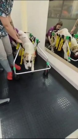 История со счастливым концом 💕