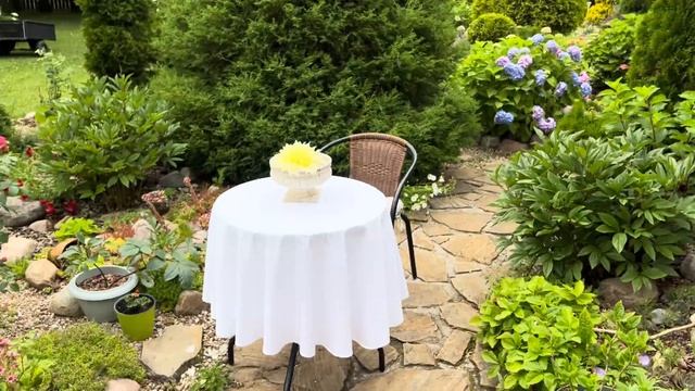 Волшебный мир моего сада: прогулка среди гортензий и м смотреть онлайн