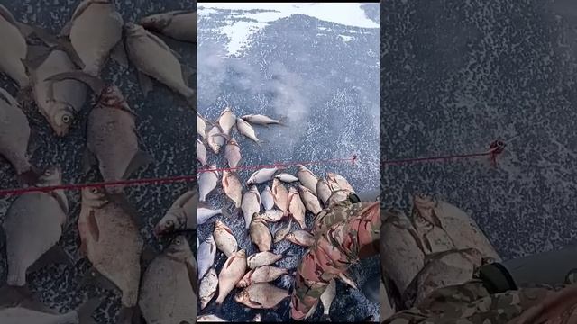 Рыбалка на Яузе, 2 ночи в палатке!! смотреть онлайн