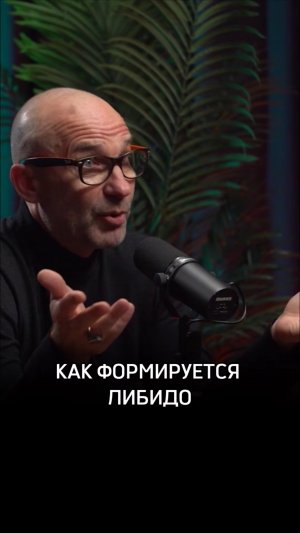 Как формируется либидо