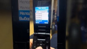 Обзор телефона Samsung SGH-E870