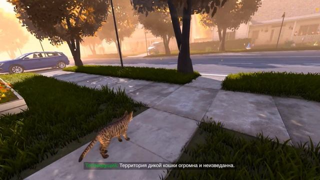 Copycat ►Приключение Кошки которая гуляла сама по себе{П? смотреть онлайн