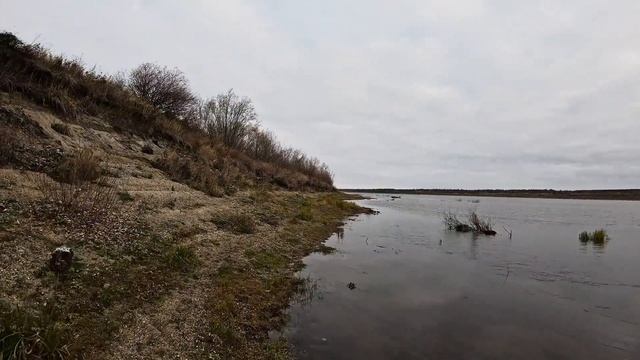 ОХОТА на СЕВЕРНУЮ УТКУ. Рыбалка на СЕТИ. Рыбалка на Сев смотреть онлайн
