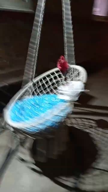 гамак крутится под музыку #music смотреть онлайн