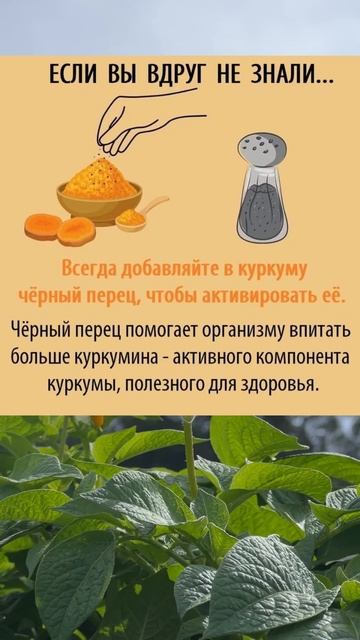 Если Вы вдруг не знали #советы #полезныесоветы #полезн? смотреть онлайн