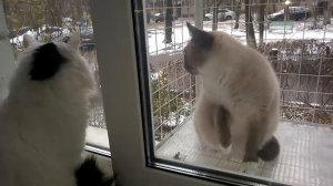 Дайте пройти!