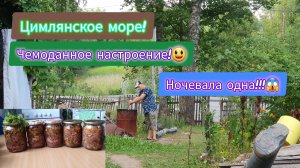 9.08.2024 ч.1я ОГУРЕЦ ЛИМОН - ПРОБУЮ!🥴Ни нашим - ни вашим!🤨На палку рыба не клюёт!😆Главный кочега