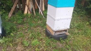 Определяем рой из улья.