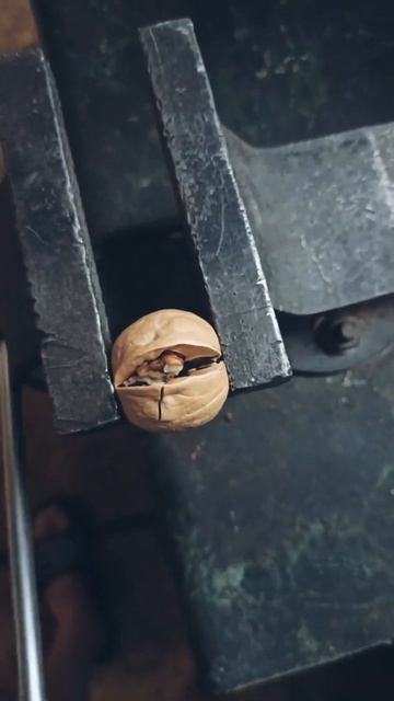 ТИСКИ III - ГРЕЦКИЙ ОРЕХ - часть 2 смотреть онлайн