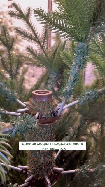 Ель литая Доминика смотреть онлайн