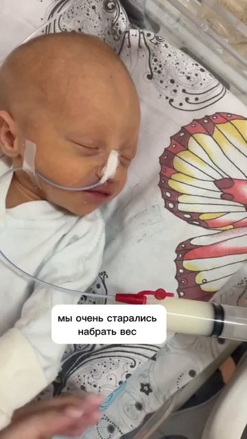 #Двойняшки родились на 33 недели #егормакар смотреть онлайн