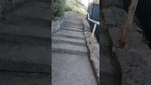 Дорожка от моря до сан. "Дружба". г. Алушта