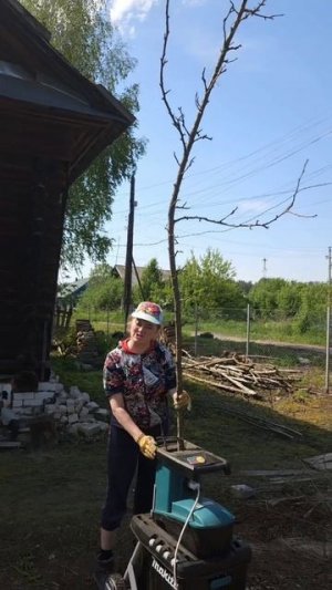 Она её не жалеет. Макита  держится...